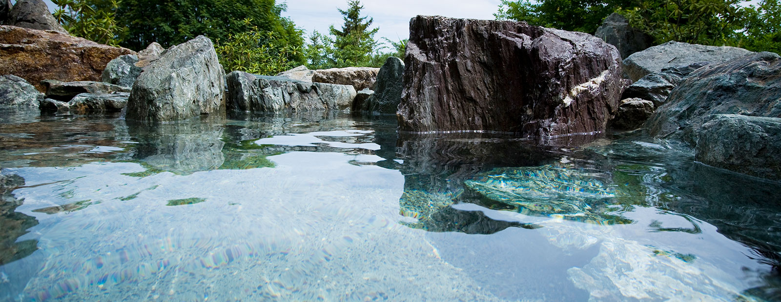 日帰りディナー&入浴プラン