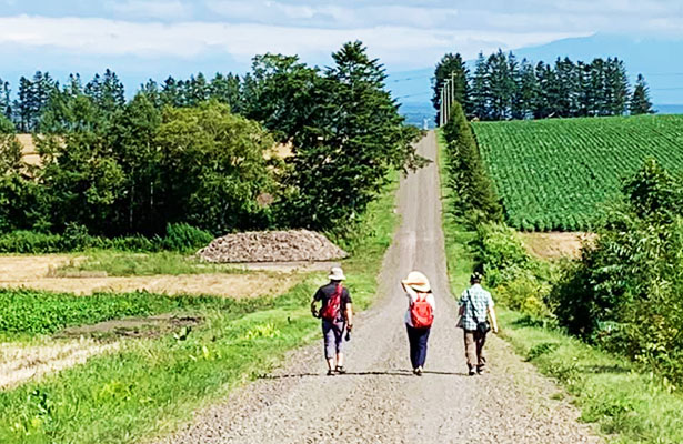 Stroll through the magnificent fields overlooking the Shiretoko mountain range & Experience making Pizza using locally produced flour