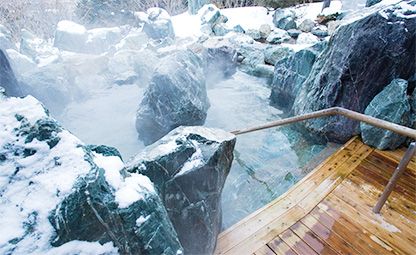 DAY TRIP ONSEN & HOT STONE SAUNA