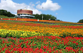 Flower Gardens HANA TENT