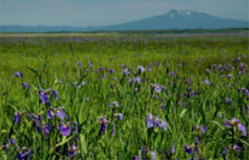 Tofutsu-ko Waterfowl and Wetland Center