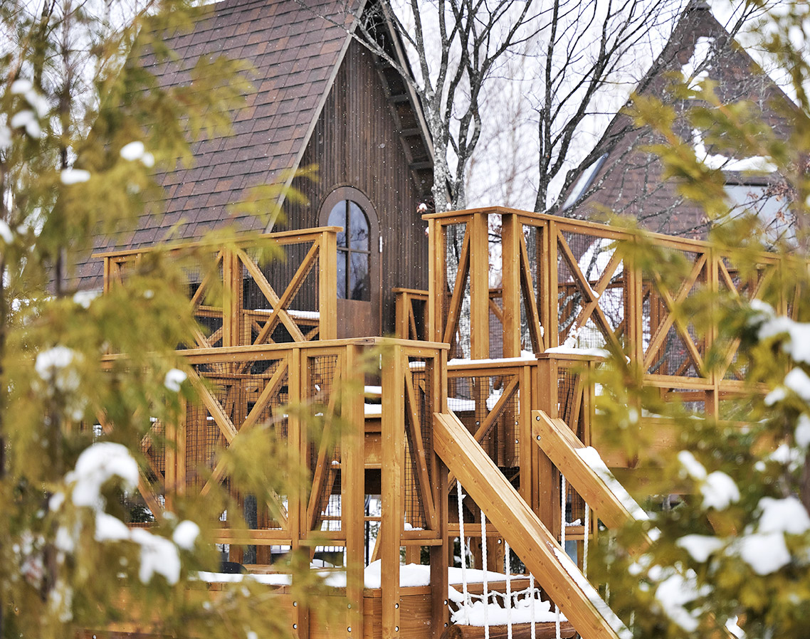 イメージ：ヴィラ・ツリーハウス付