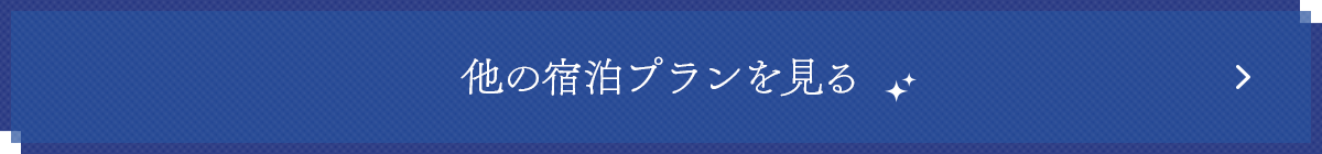 他の宿泊プランを見る