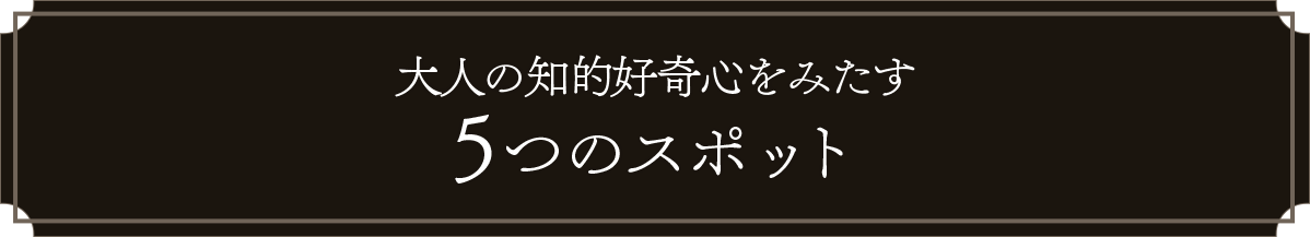 大人の知的好奇心を満たす5つのスポット