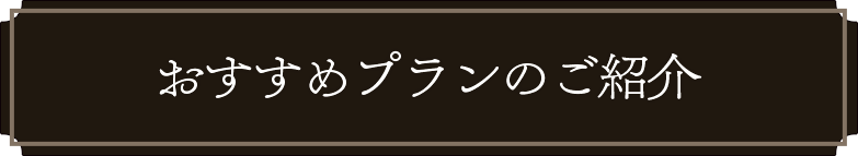 おすすめプラン