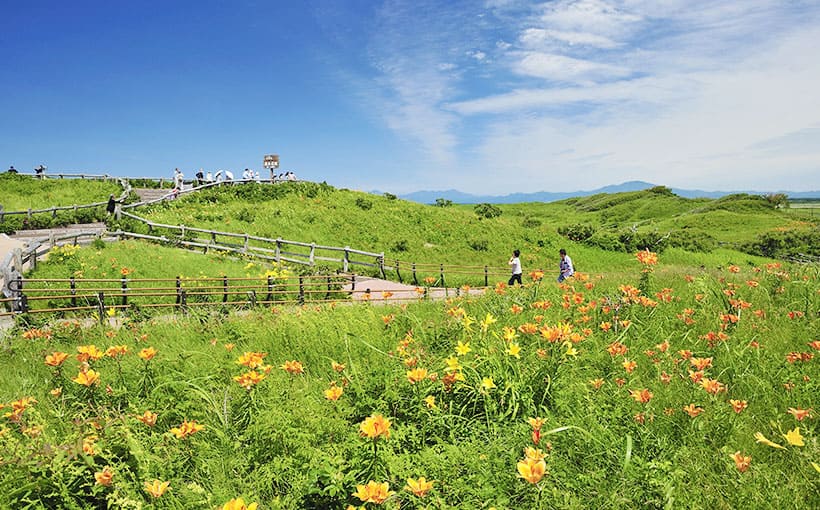 小清水原生花園