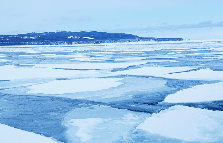 北海道の神秘的な冬景色とウィンターアクティビティを満喫